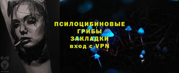 молекула духа Михайловка