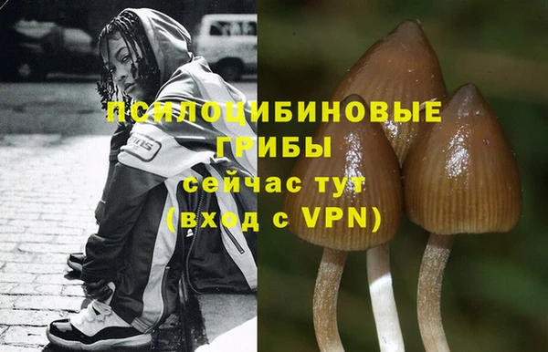 молекула духа Михайловка
