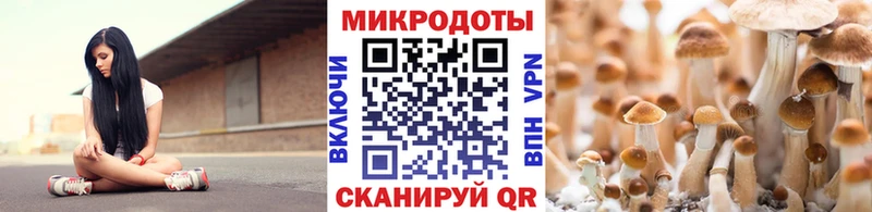 Псилоцибиновые грибы GOLDEN TEACHER  Купить где  Красавино 